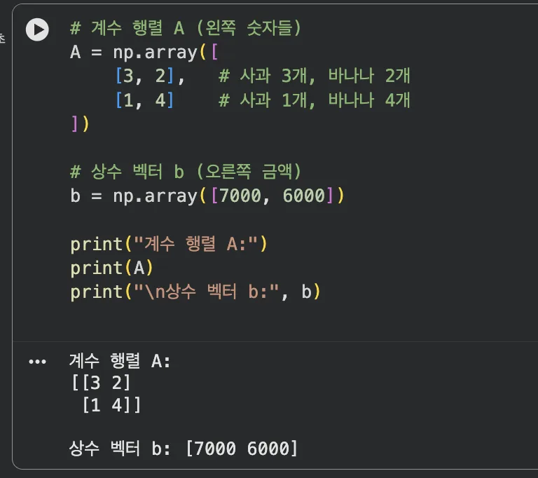 계수 행렬과 상수 벡터 출력 결과