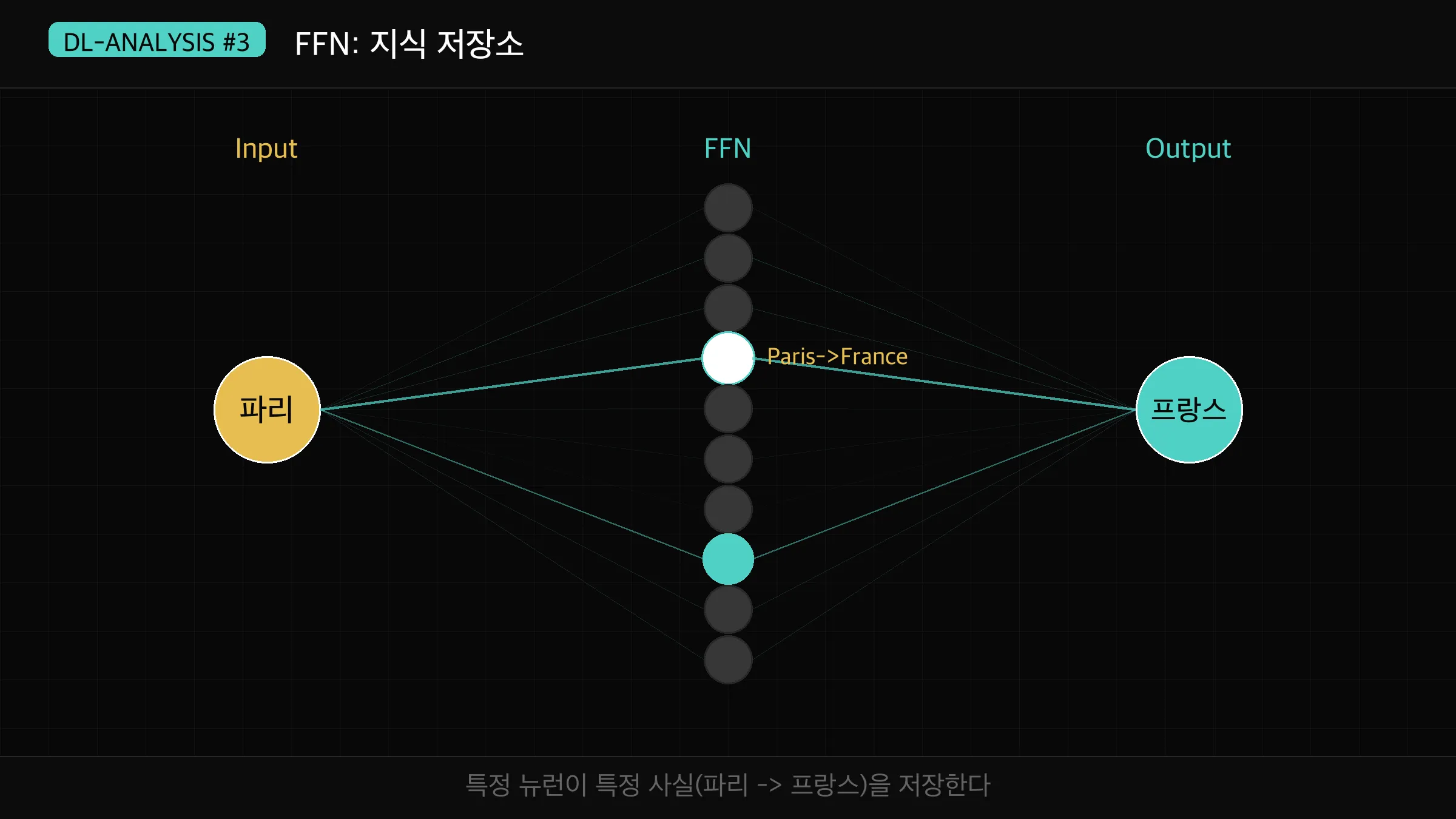 FFN 지식 저장 — 파리 관련 뉴런 활성화 패턴