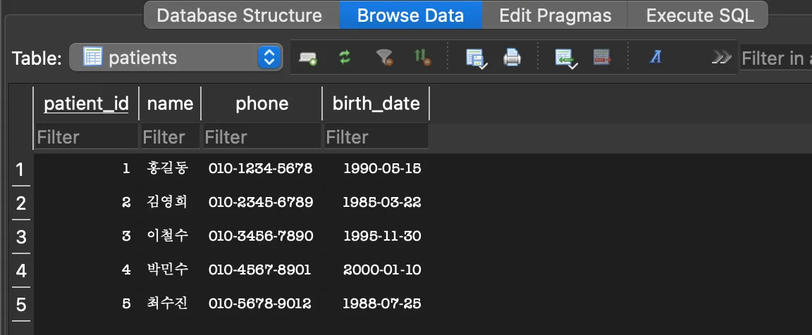 patients 테이블 Browse Data