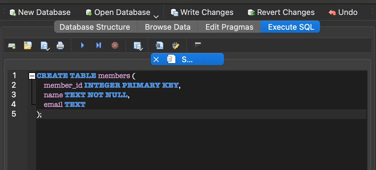 CREATE TABLE members 실행