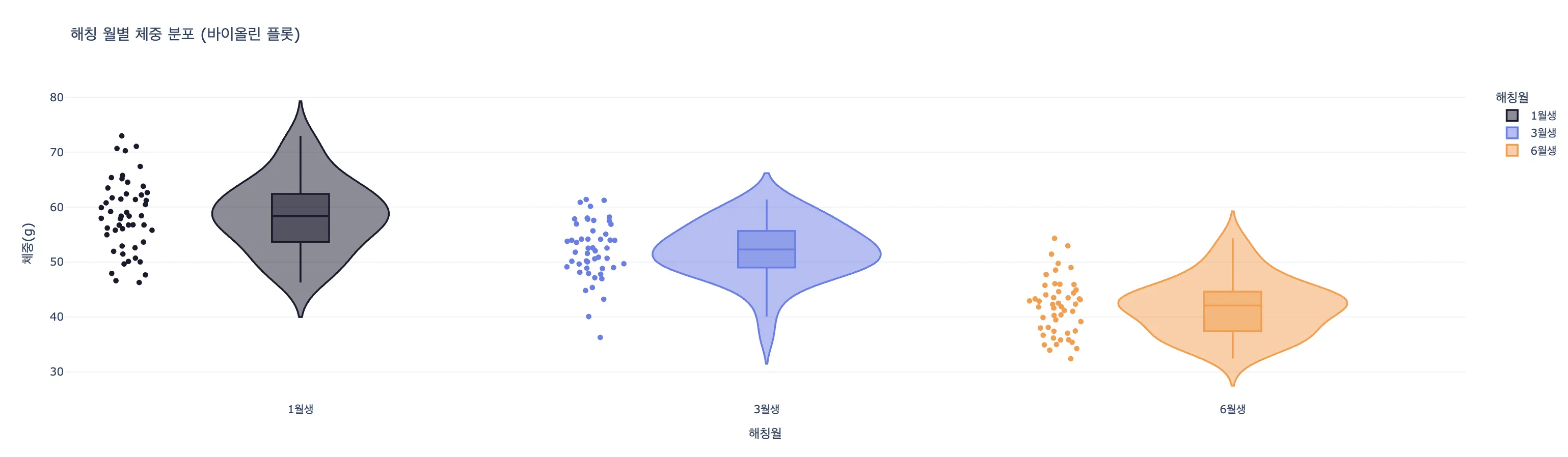 해칭 월별 체중 바이올린 플롯